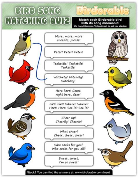 Bird Quiz Printable