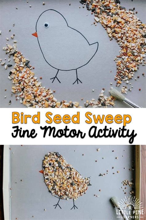 Bird Seed Activities