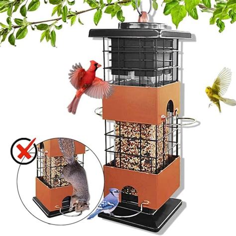 Bird Seed Feeder Squirrel Proof