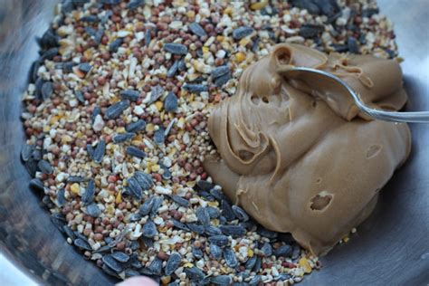 Bird Seed Suet