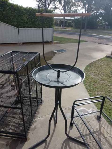 Bird Stand Gumtree