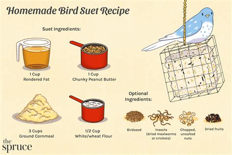 Bird Suet For Chickens