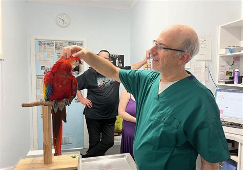 bird vet checking