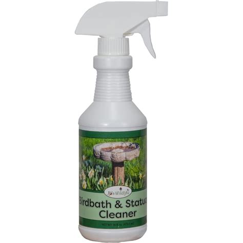 Birdbath Statuary Cleaner