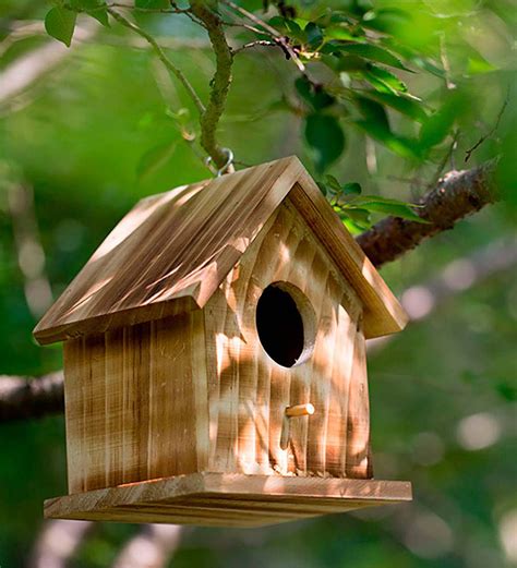 birdhouse with bird