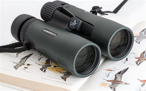 birding equipment