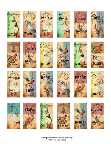 Birds Mini Booklet Printable