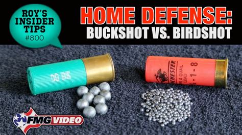 birdshot vs buckshot home defense
