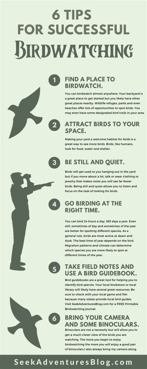 birdwatching tips