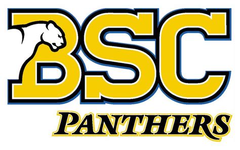 birmingham southern college sports