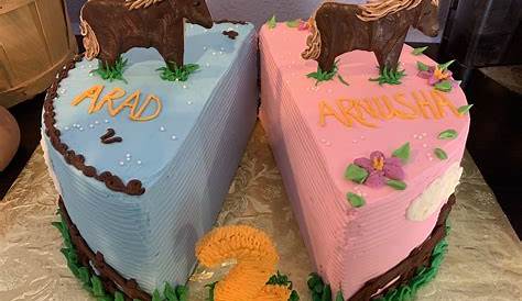 Birthday Cake Design For Twins 77+ s Twin Girls