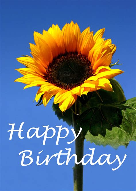 birthday card with sunflowers