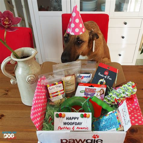 birthday gift ideas for dog lovers