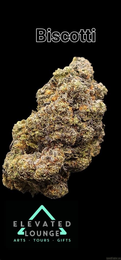 Biscotti Cookie Strain