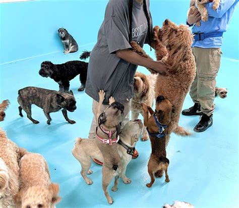 Biscuits And Bath Buddy Program