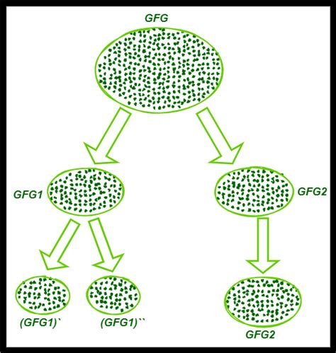bisecting k means algorithm
