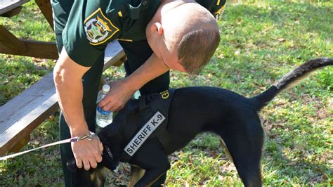 bishop animal shelter bradenton florida