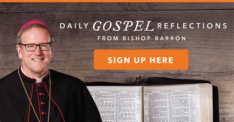 bishop barron daily gospel reflection today