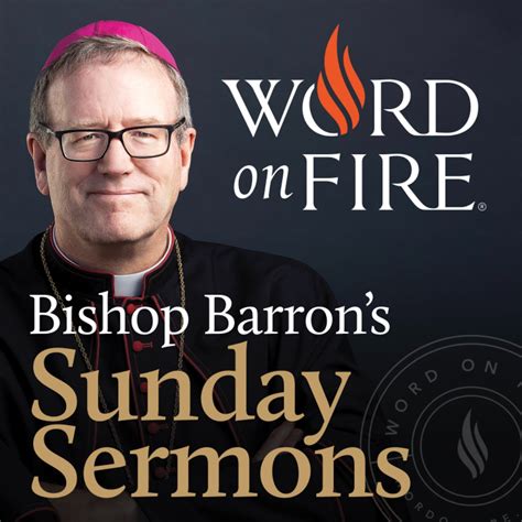 bishop barron sermon today