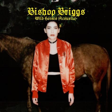 bishop briggs wild horses video