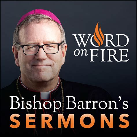 bishop robert barron sunday sermons