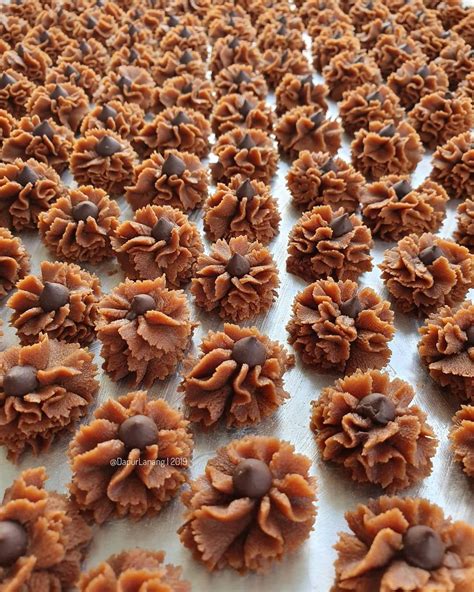 Biskut Dahlia Coklat: Resipi Terperinci Untuk Dicuba