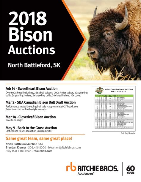 Bison Auction Prices