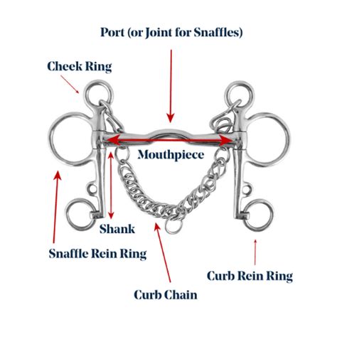 Bit For Horse That Pulls Down