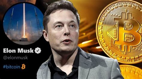 bitcoin and elon musk