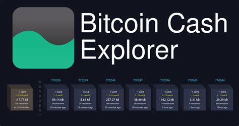 bitcoin cash explorer