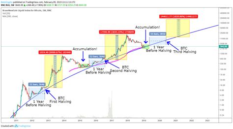 bitcoin price 7 day forecast