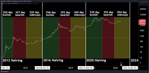 bitcoin price before and after halving