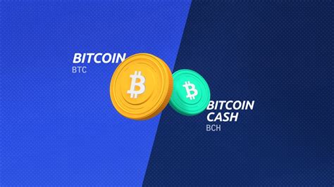bitcoin vs bitcoin cash investment