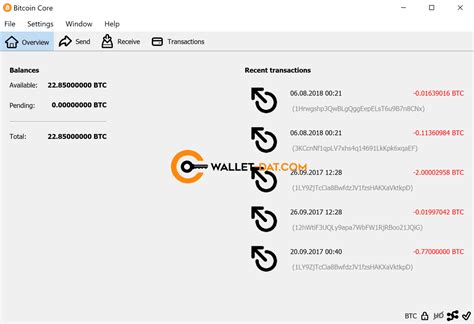 bitcoin wallet.dat with balance