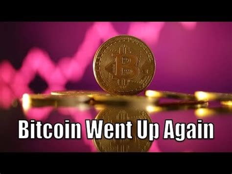 Bitcoin Went Up Reddit
