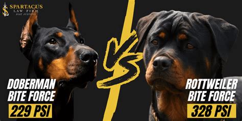 bite force of doberman