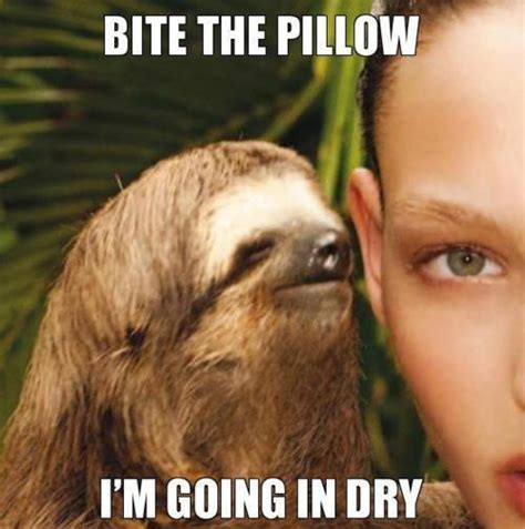Bite The Pillow Meme