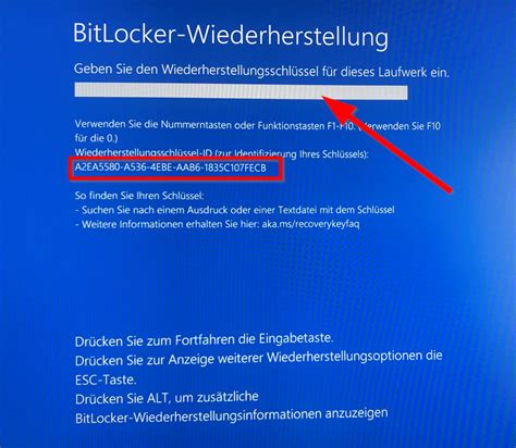 So aktualisiert man das HPBIOS von Windows 10