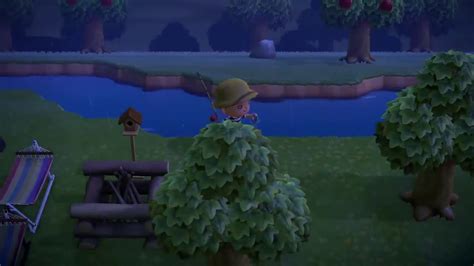 How to Catch a Bitterling in Animal Crossing New Horizons