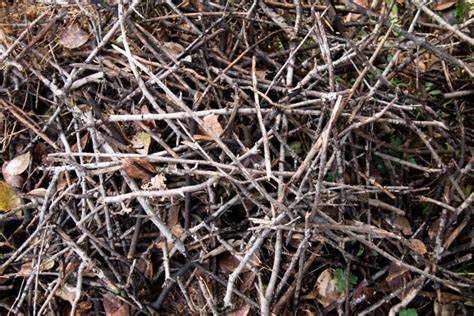 Bitters Brush Drop Off