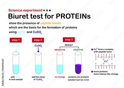 Biuret Experiment