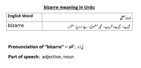 bizarre meaning in urdu with example