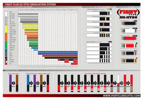 bjj belt ranking system