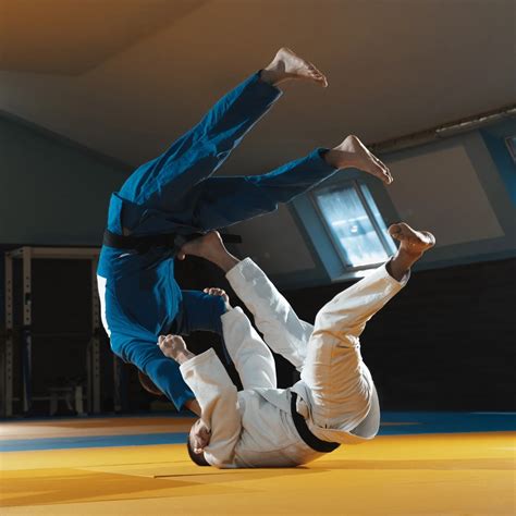 BJJ Meaning Explained