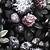 black &amp; white floral wallpaper