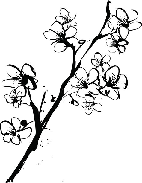 Vector Illustration of Black and White Cherry Blossom Branches