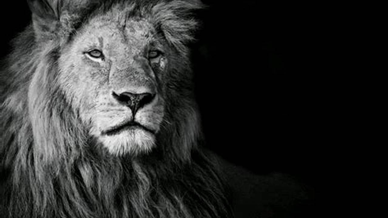 Discover the Enchanting World of Black and White Lion Images in SVG
