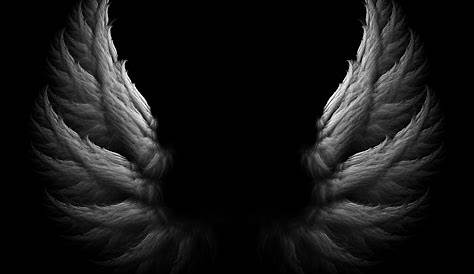 Black Angel Wings | Flickr - Photo Sharing!