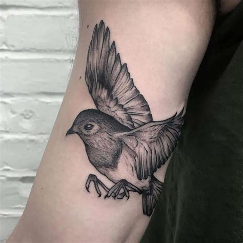 Incredible Black Bird Tattoo Design References