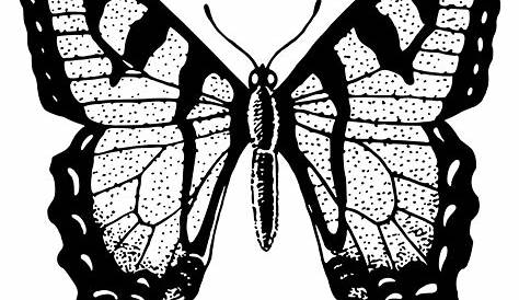 Dark Black Butterfly PNG Download Image | PNG Arts
